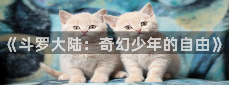 羞羞动漫在线阅读：《斗罗大陆：奇幻少年的自由》