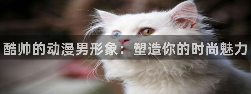 羞羞动漫的视频：酷帅的动漫男形象：塑造你的时尚魅力